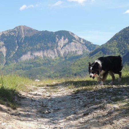 Bed and Breakfast Le Colombier Glandage Екстер'єр фото